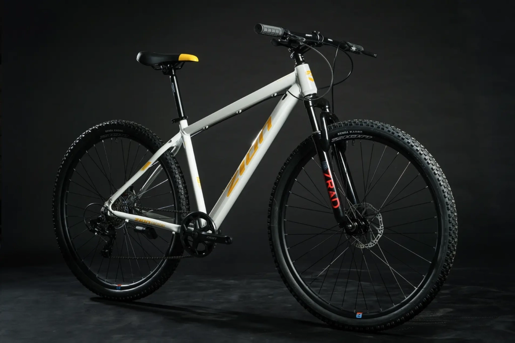 zion-frisk-amarillo-01