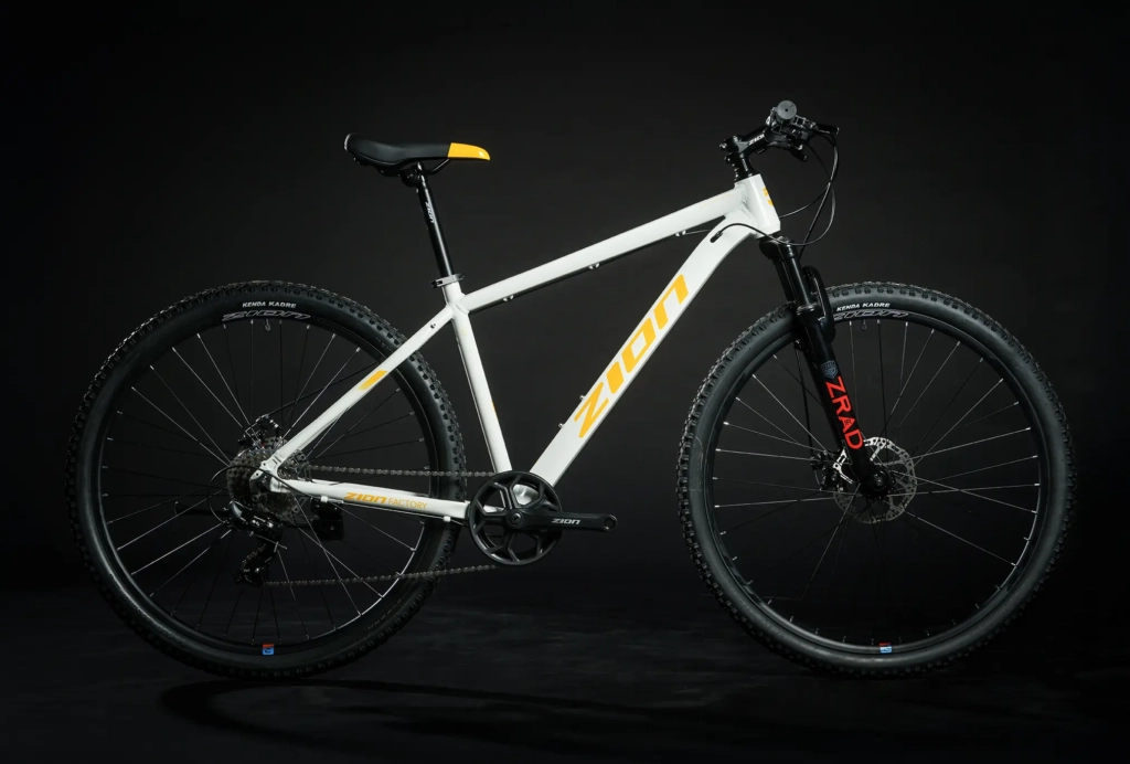 zion-frisk-amarillo-02