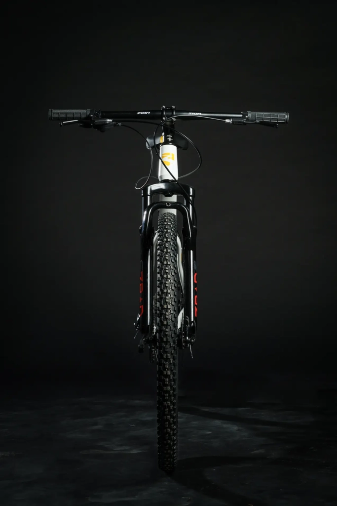 zion-frisk-amarillo-03