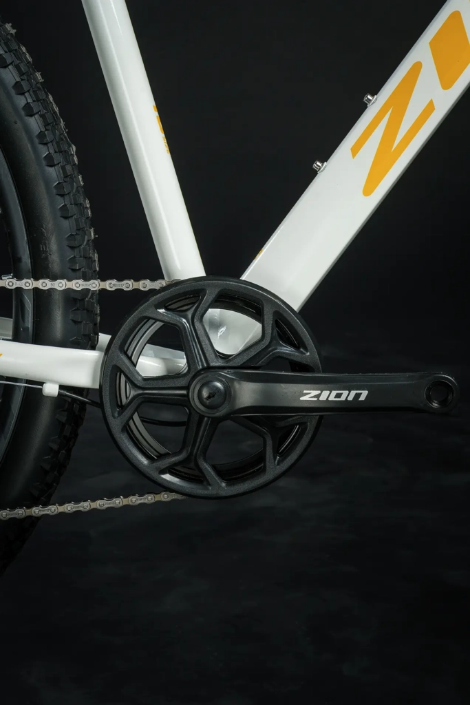 zion-frisk-amarillo-04