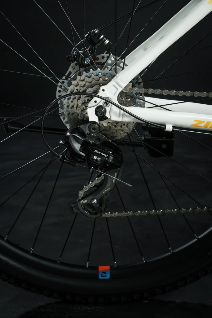 zion-frisk-amarillo-05