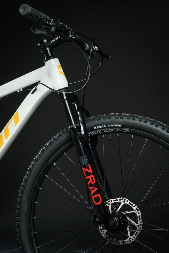 zion-frisk-amarillo-06