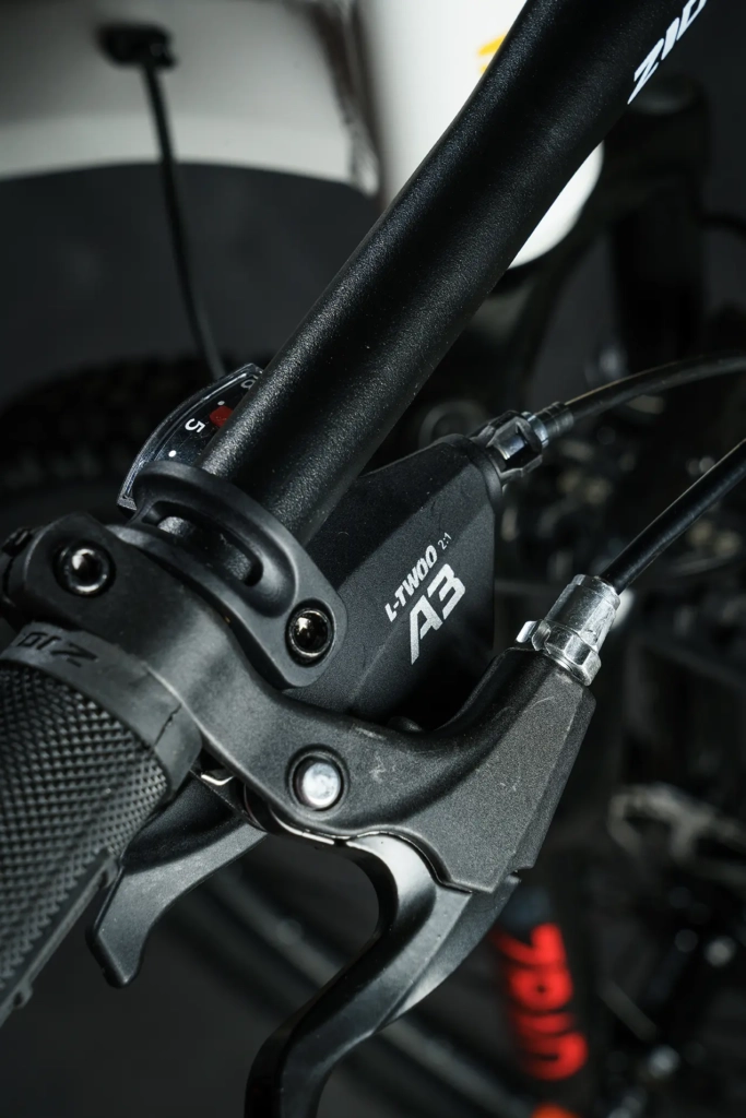 zion-frisk-amarillo-08